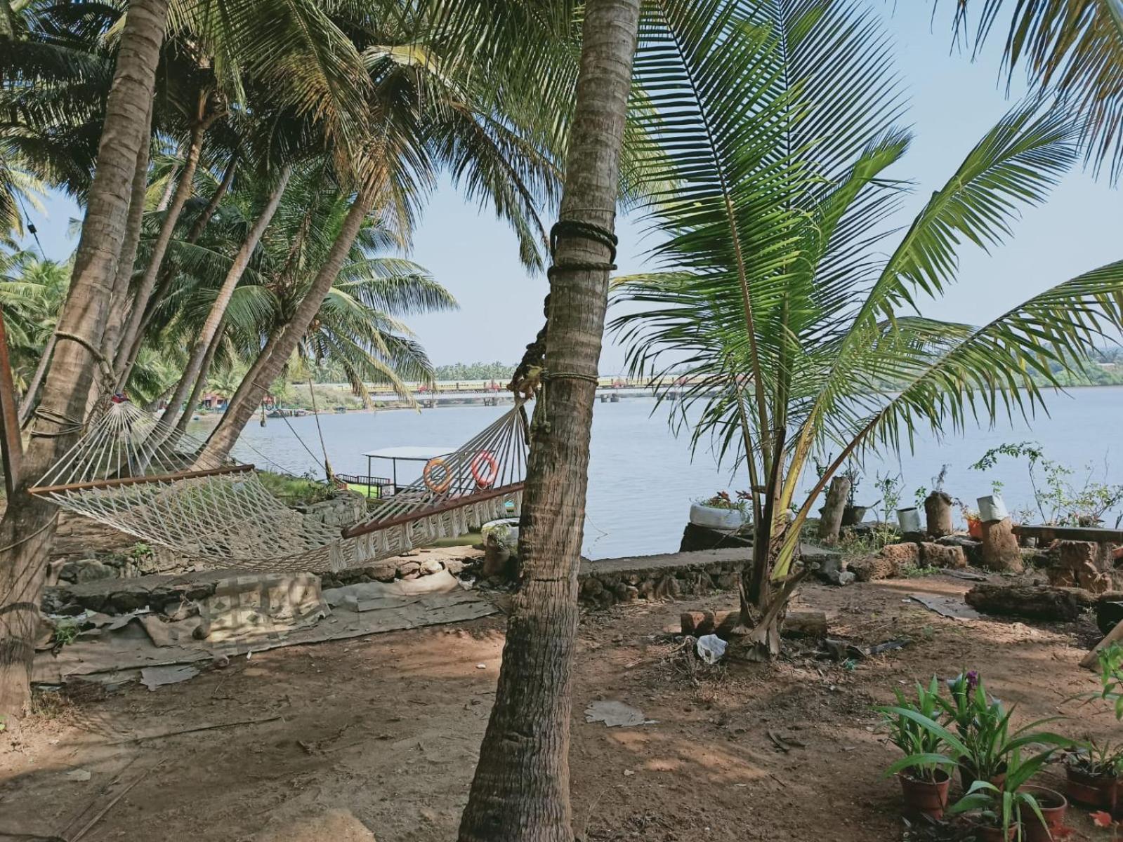 Green Island Homestay Riverside Kozhikode Exterior foto